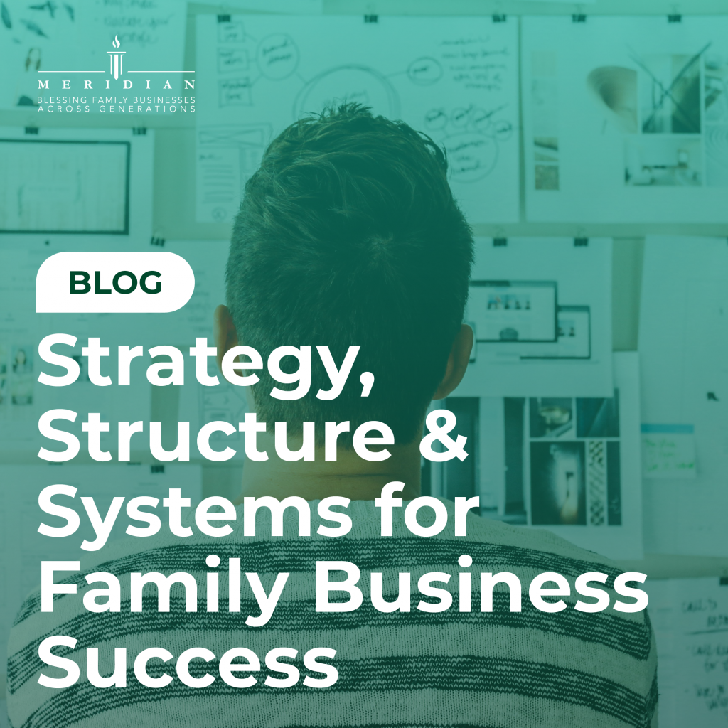 The Vision Series: Strategy, Structure & Systems for Family Business Success