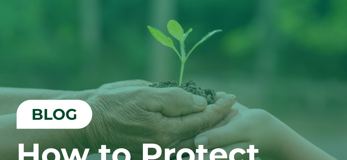 Blog Cover Images - How to Protect Family Legacy When Family Can’t