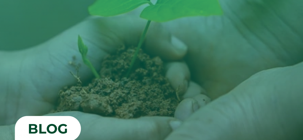 New Year, Stronger Focus on Succession