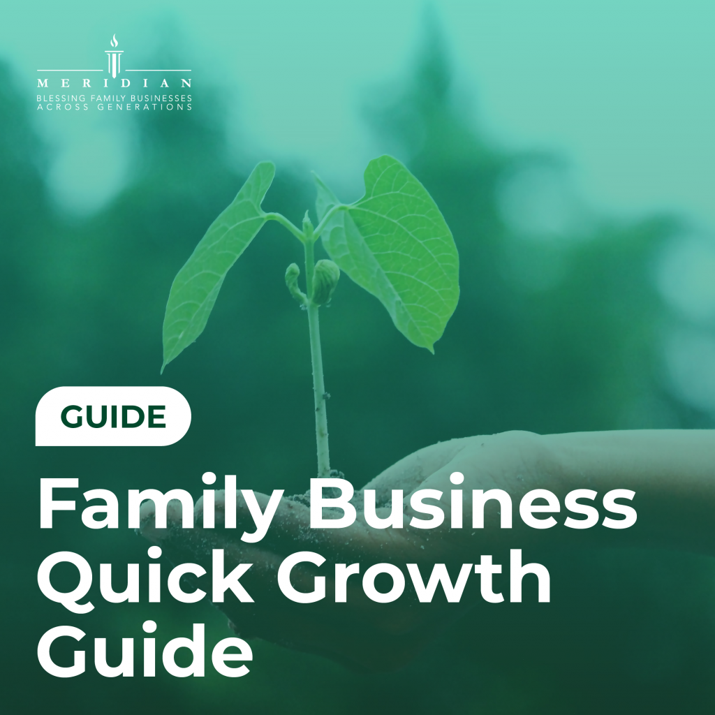 Without a well-planned vision and a long-term strategy that works, determining the best ways to grow is impossible. Ensure your family business has success for generations while growing your operations & revenue sustainably!